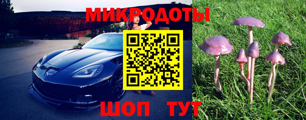 Галлюциногенные грибы прущие грибы Удомля