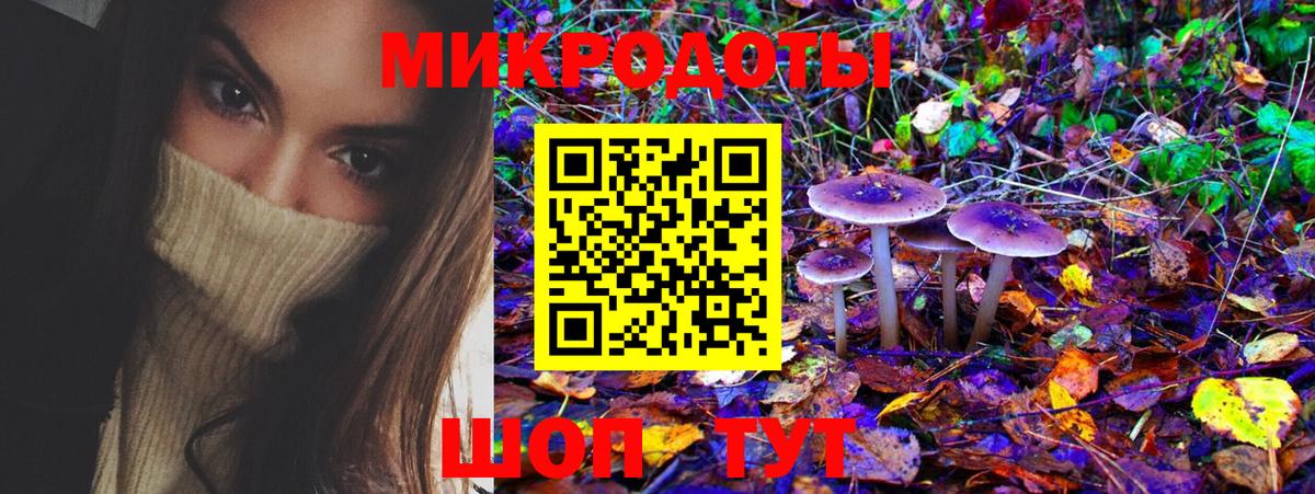 Галлюциногенные грибы Psilocybine cubensis  Вход с VPN  Удомля 